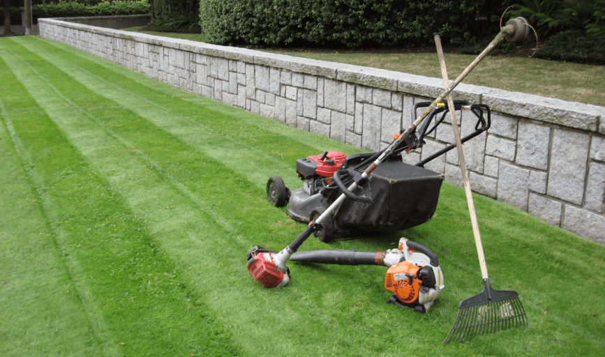 LAWN MOWING