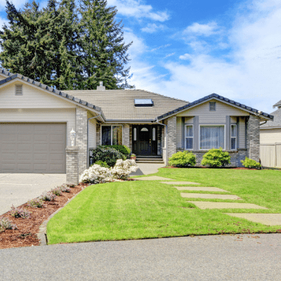 HOME MOLD ASSESSMENT