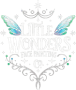 Little Wonders Face Painting Co. 