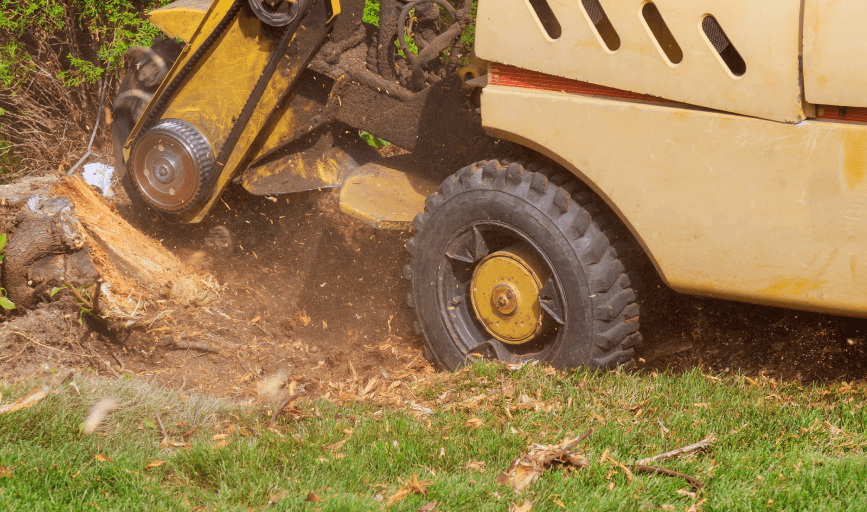 STUMP GRINDING