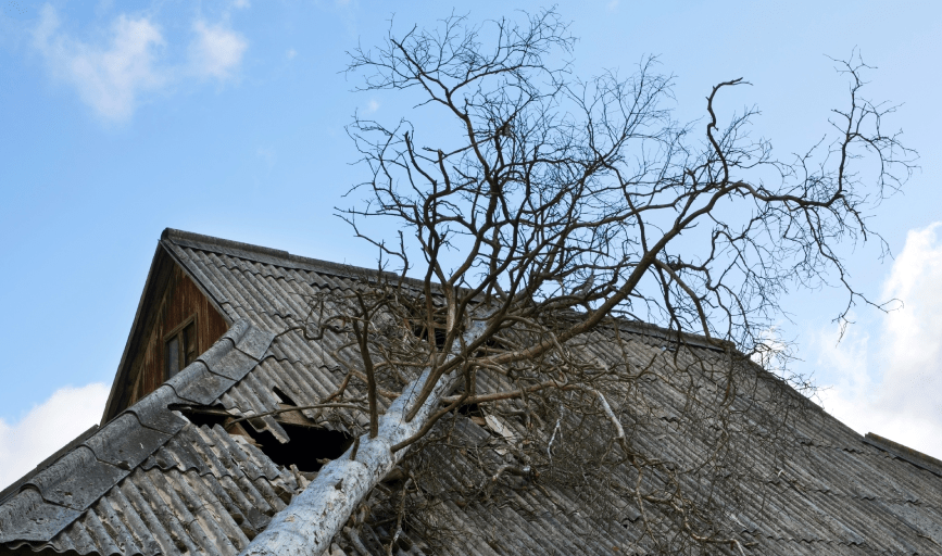 STORM DAMAGE INSURANCE CLAIM