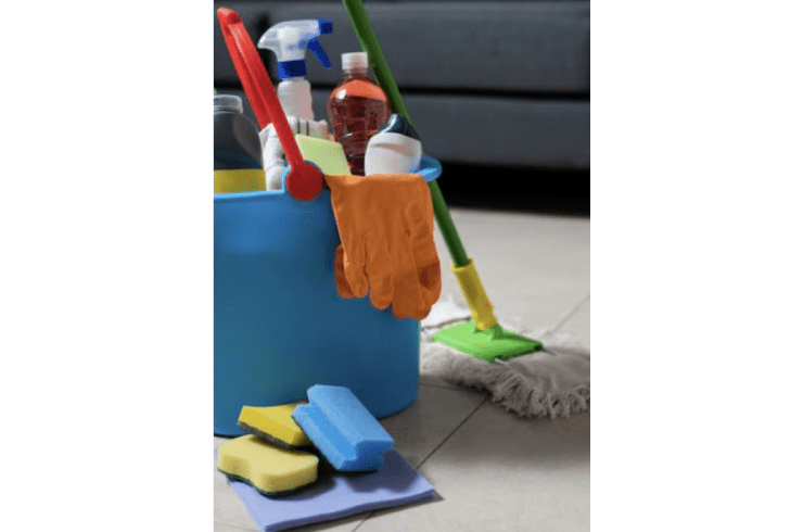 Without Spot or Wrinkle Cleaning Services