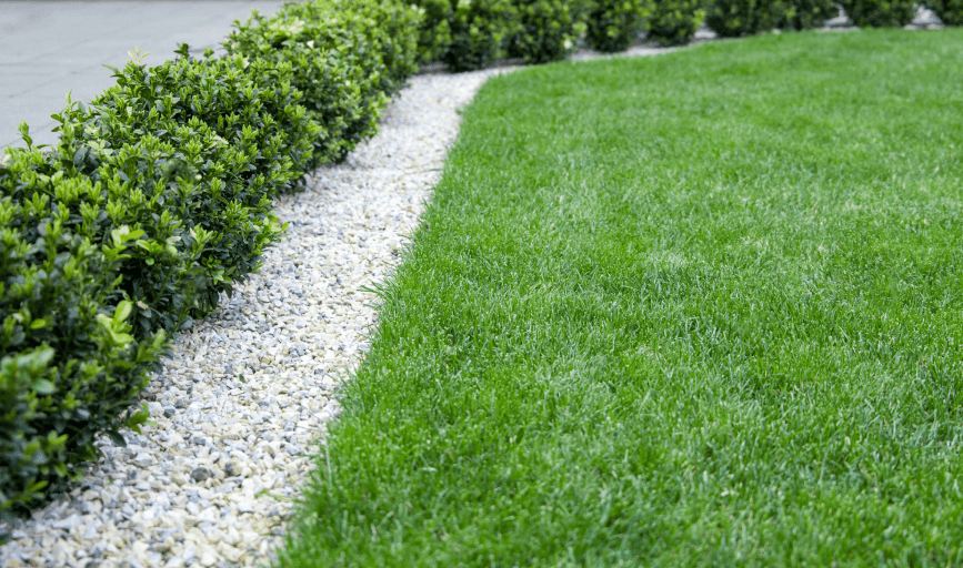 LANDSCAPE MAINTENANCE