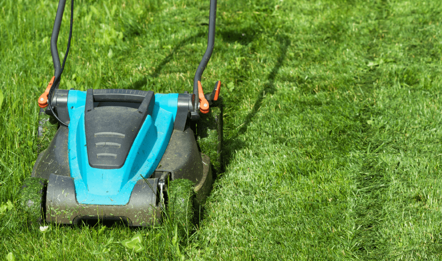 GRASS CUTTING