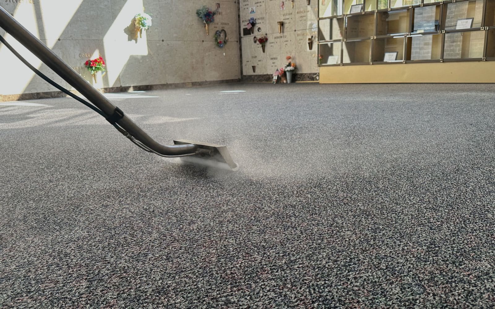 Carpet Cleaning