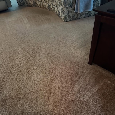 STEAM CARPET CLEANING