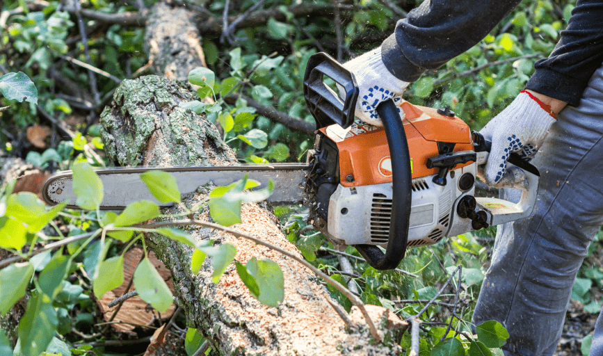 COMMERCIAL TREE SERVICES