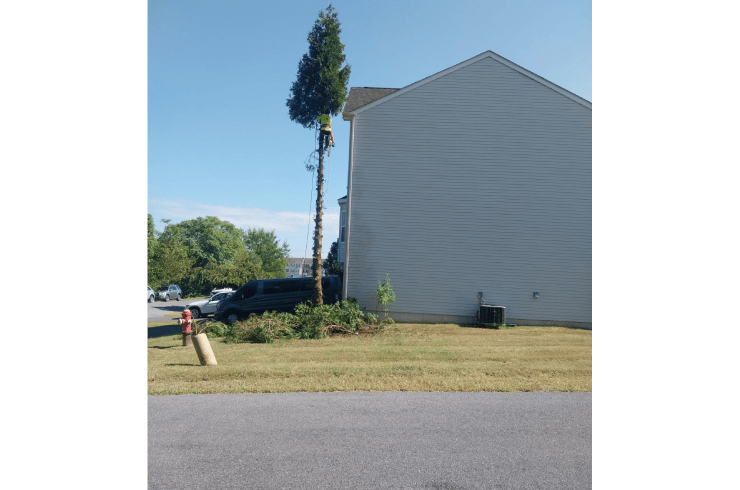 A.J outdoor solution