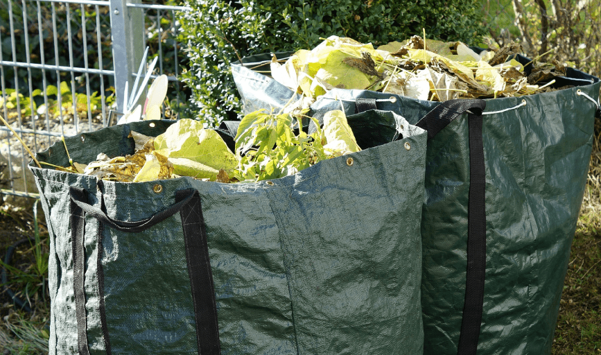 YARD WASTE CLEANUP
