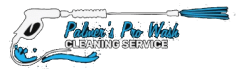 Palmer's Pro Wash