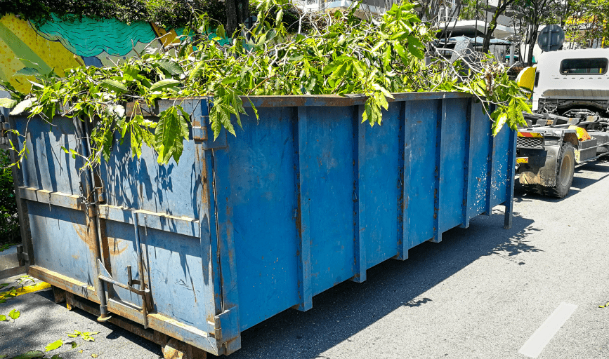 COMMERCIAL DUMPSTER RENTALS