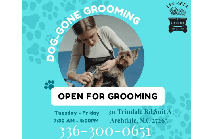 Dog Gone Grooming