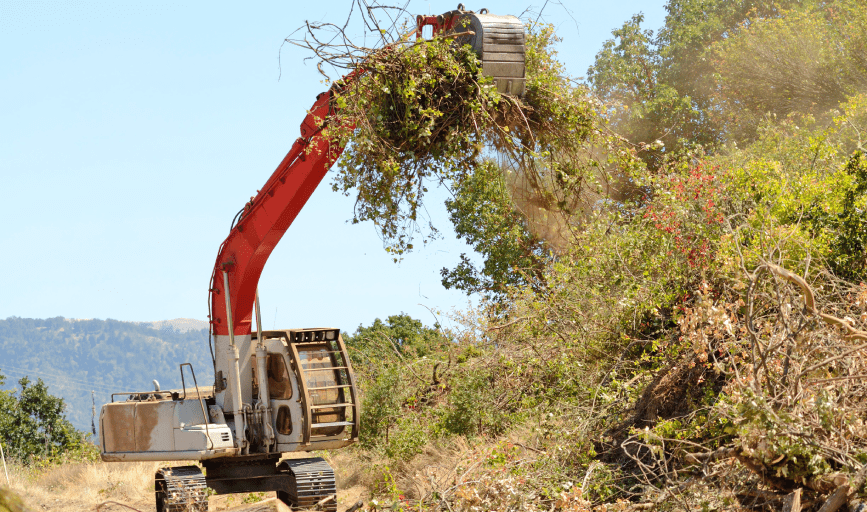 Miller Land Clearing 