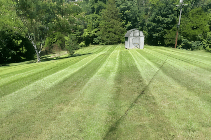 Maybury Landscapes and Home Improvements 