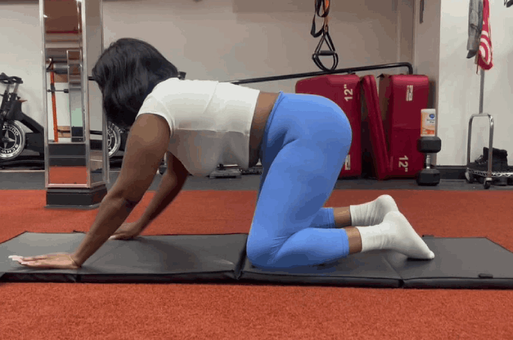 Ace Fitness Mind & Body Works 