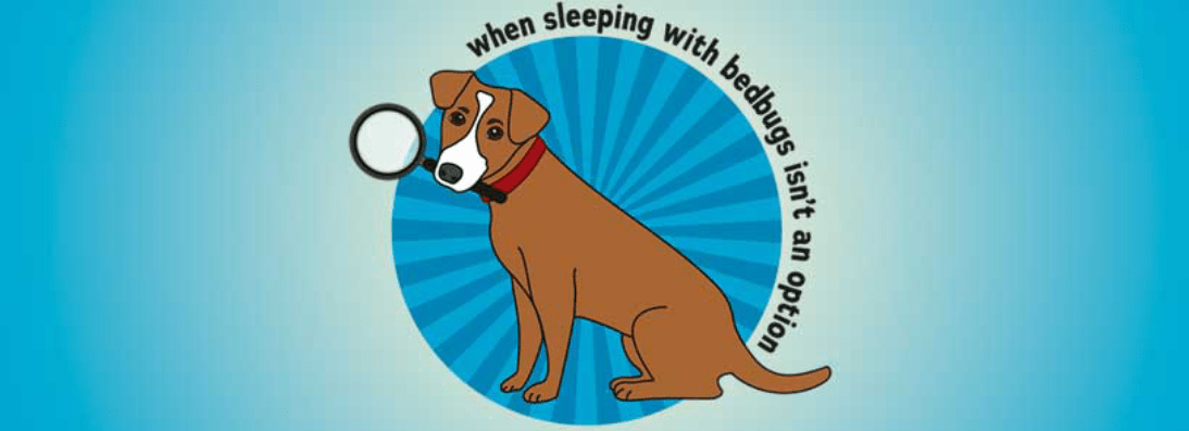 JBS Inspection Services