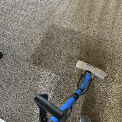 CARPET CLEANING