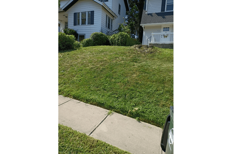 Natural Vibe Maintenance Service