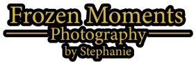 Frozen Moments Photography by Stephanie