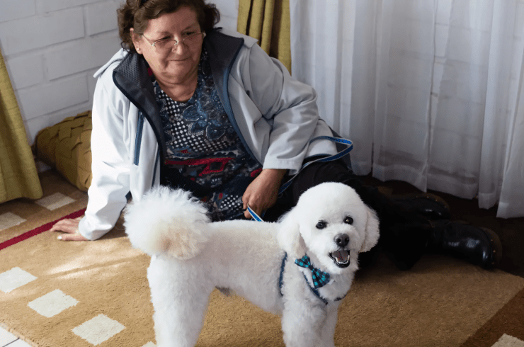 Schultheis Dog Boarding 