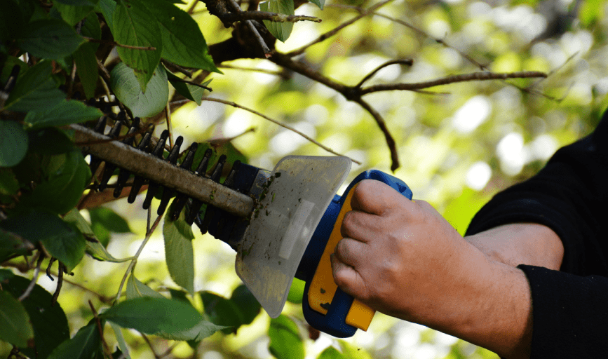 LAWN/SHRUB/HEDGE/TREE MAINTENANCE