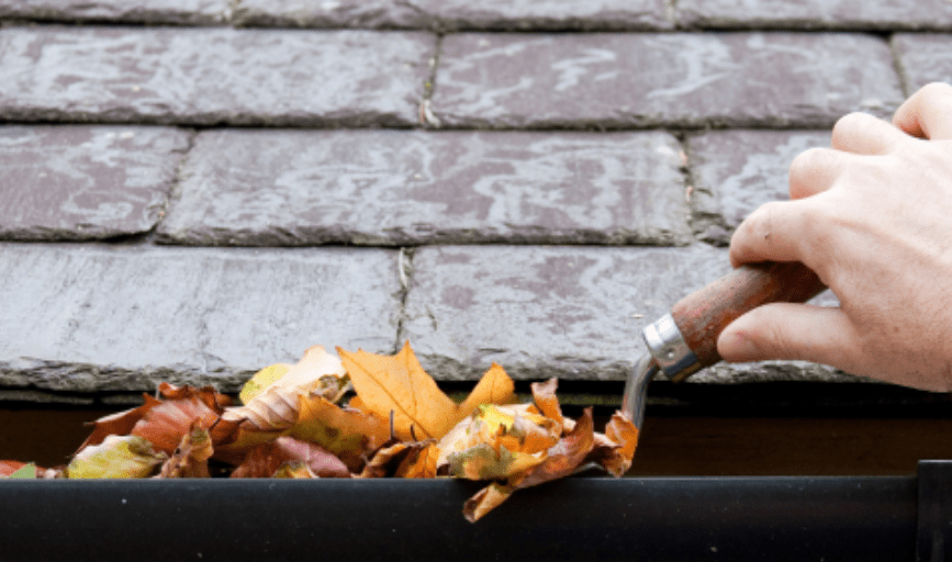 GUTTER CLEANING