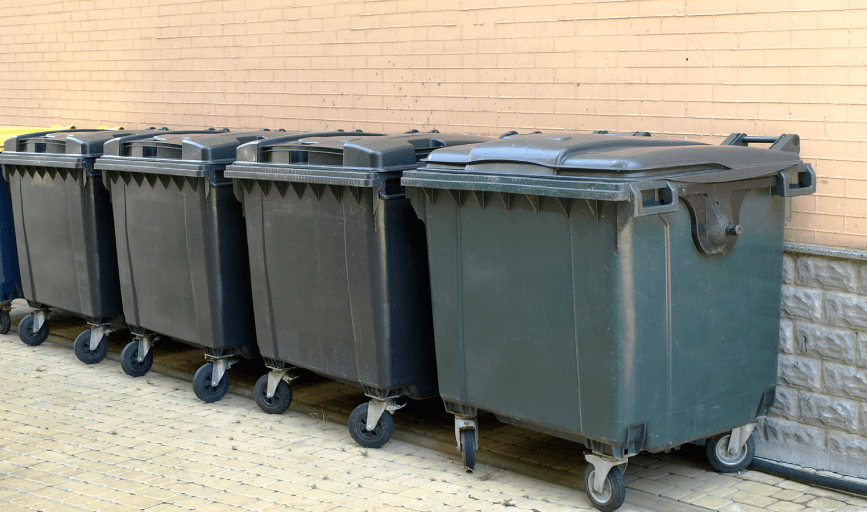 CURBSIDE BIN CLEANING