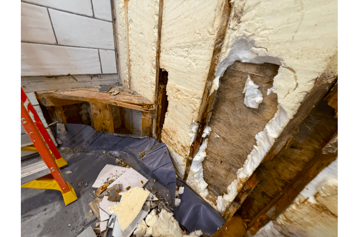 Alabama Quality Restoration