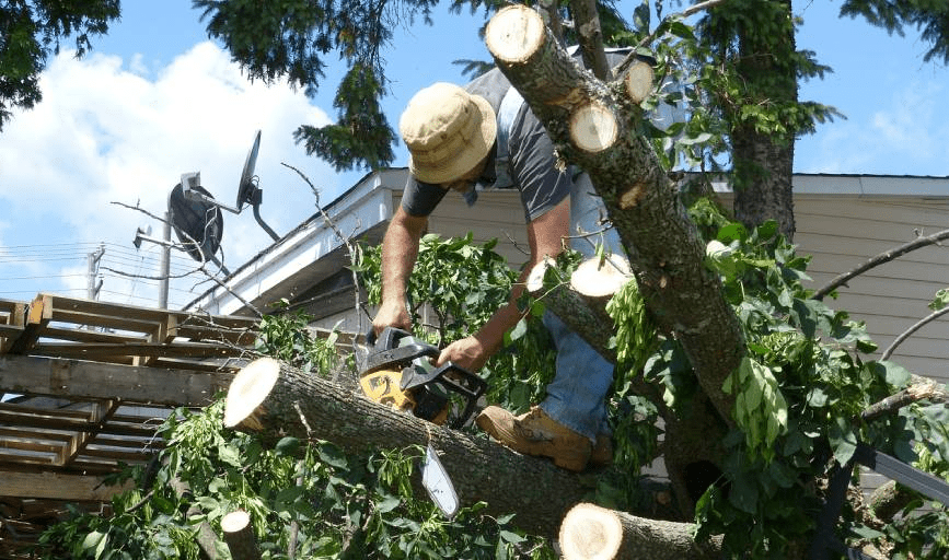 Parkers Landscaping and Lawn Care