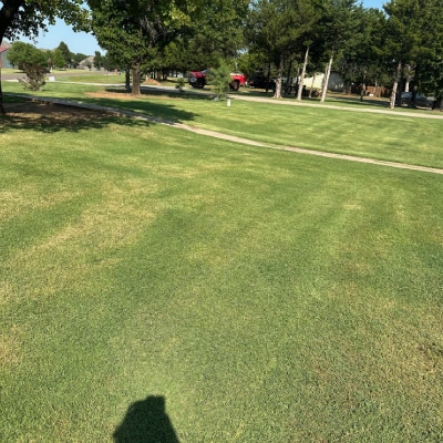 YARD CLEANUP