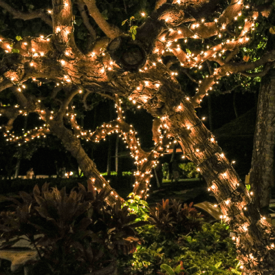 HOLIDAY LIGHTS INSTALLATION