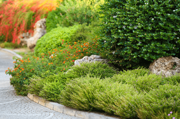 Ruben R Lawn service