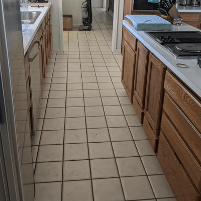 MOLD REMEDIATION SERVICES