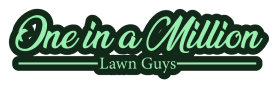 One in a Million Lawn Guys