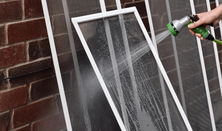 WINDOW SCREEN CLEANING