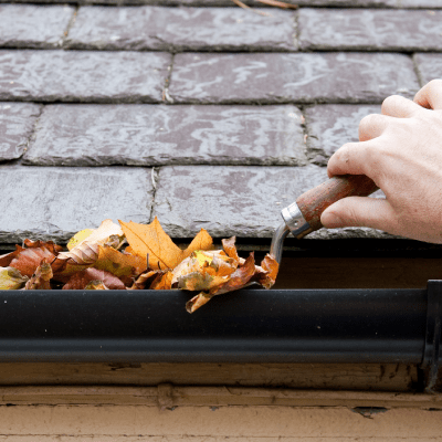 GUTTER CLEANING
