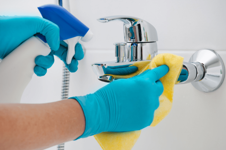 Spring Flowers Cleaning 