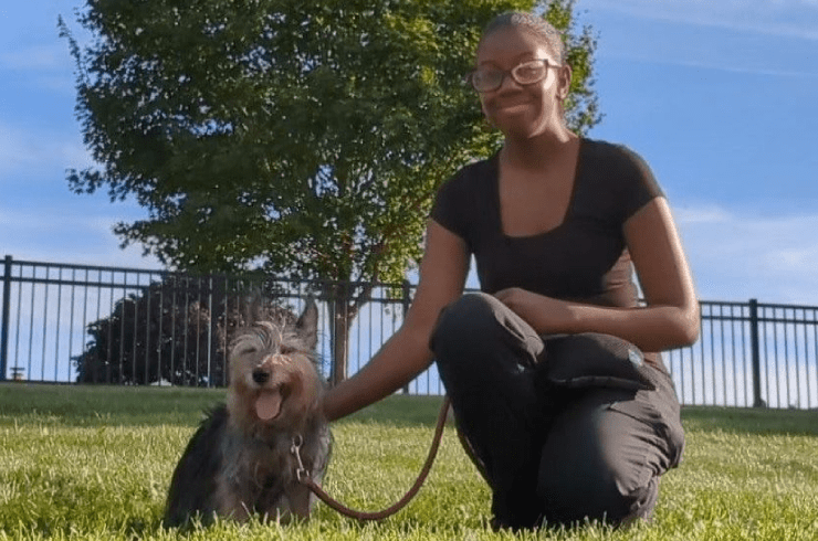 Dina's Doggos Training