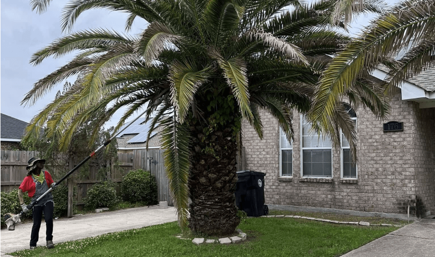 Mr. Reliable Ground Works