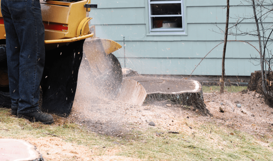 Mr. Reliable Ground Works