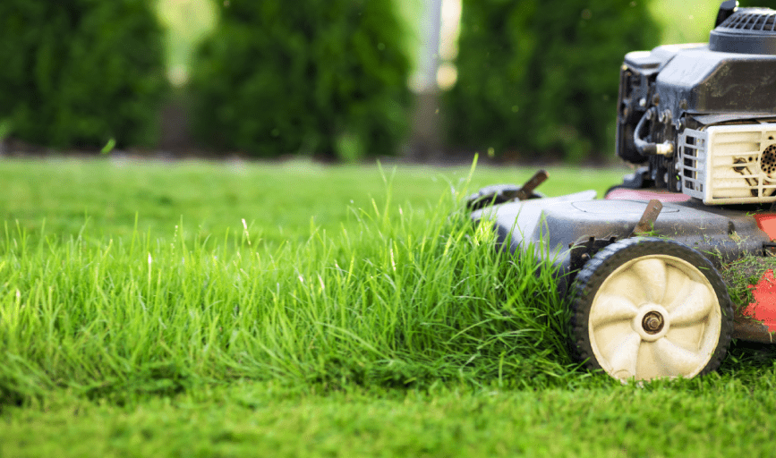 LAWN MOWING