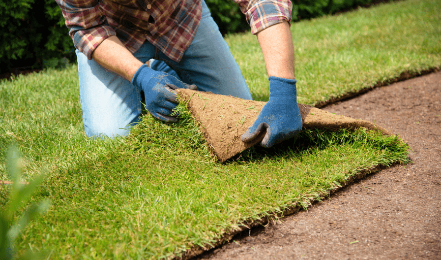 Chris Buschena Lawn & Landscaping