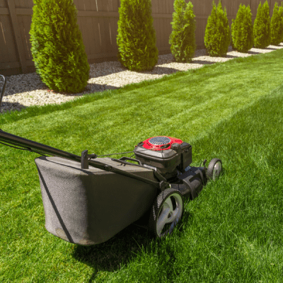 RESIDENTIAL LAWN SERVICE