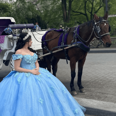 PRIVATE CARRIAGE RIDE