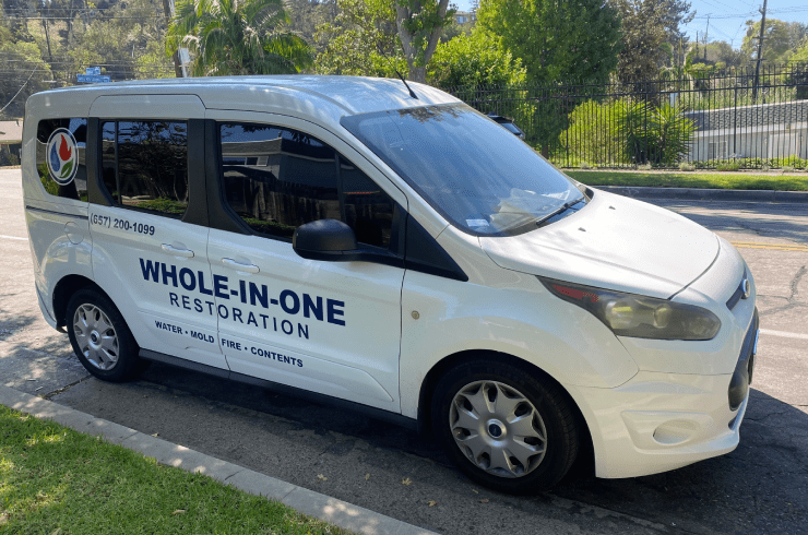 Whole-In-One Restoration