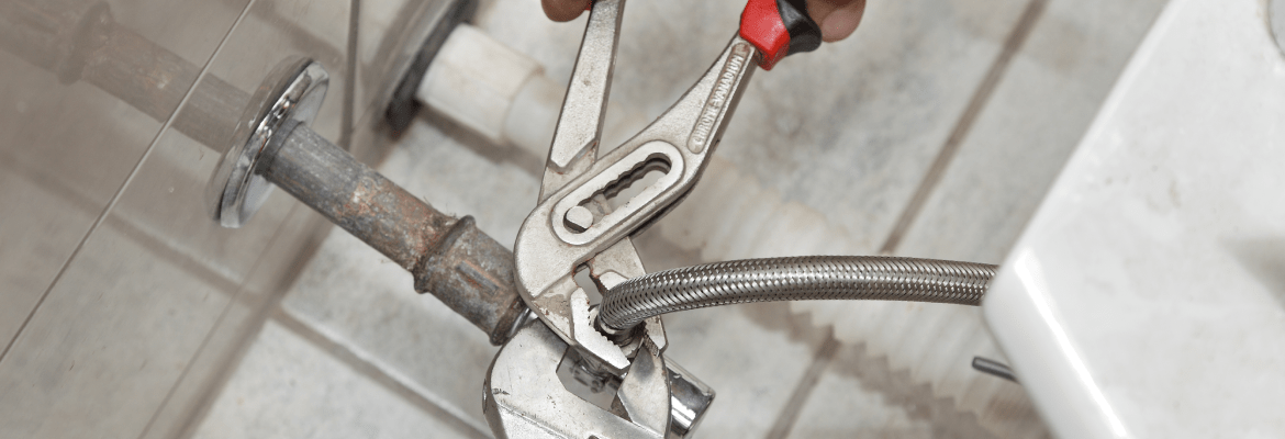 Williams Rainbow Painter and Handyman Service