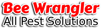 Bee Wrangler All Pest Solutions