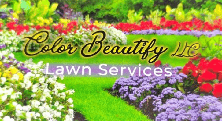 Color Beautify Lawn Services