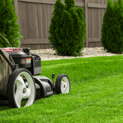 LAWN MOWING