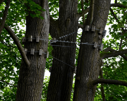 TREE CABLING SERVICES